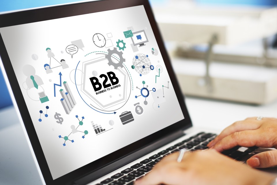 What Does B2B Marketing Mean?