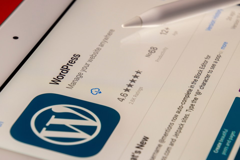 The First Site With WordPress: Good Or Bad Idea?