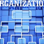 Organization Management