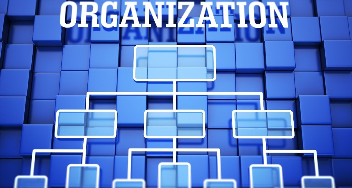 Basic Principles Of Organization Management
